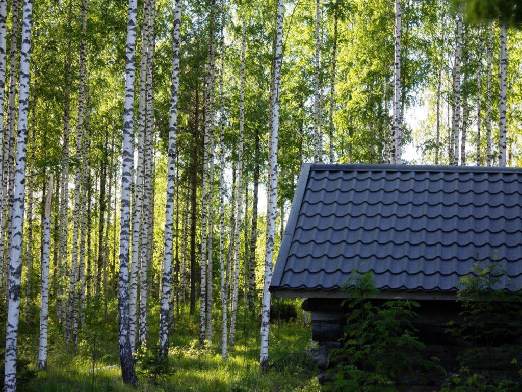 Tarina-Aho Bed & Breakfast Vuonislahti Exterior photo